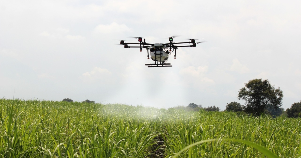 Farmers Embrace Drone Mapping Technology
