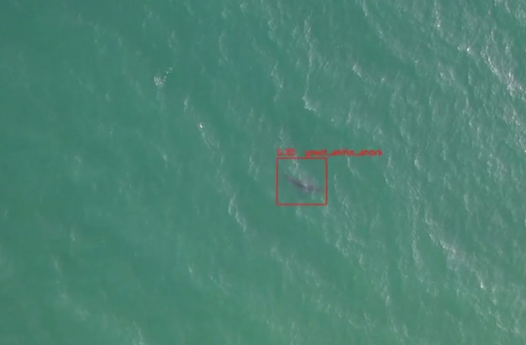 sharkeye-drones-shark-tracking