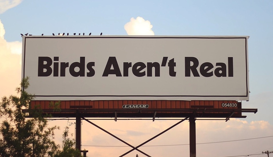 birds-aren't-real